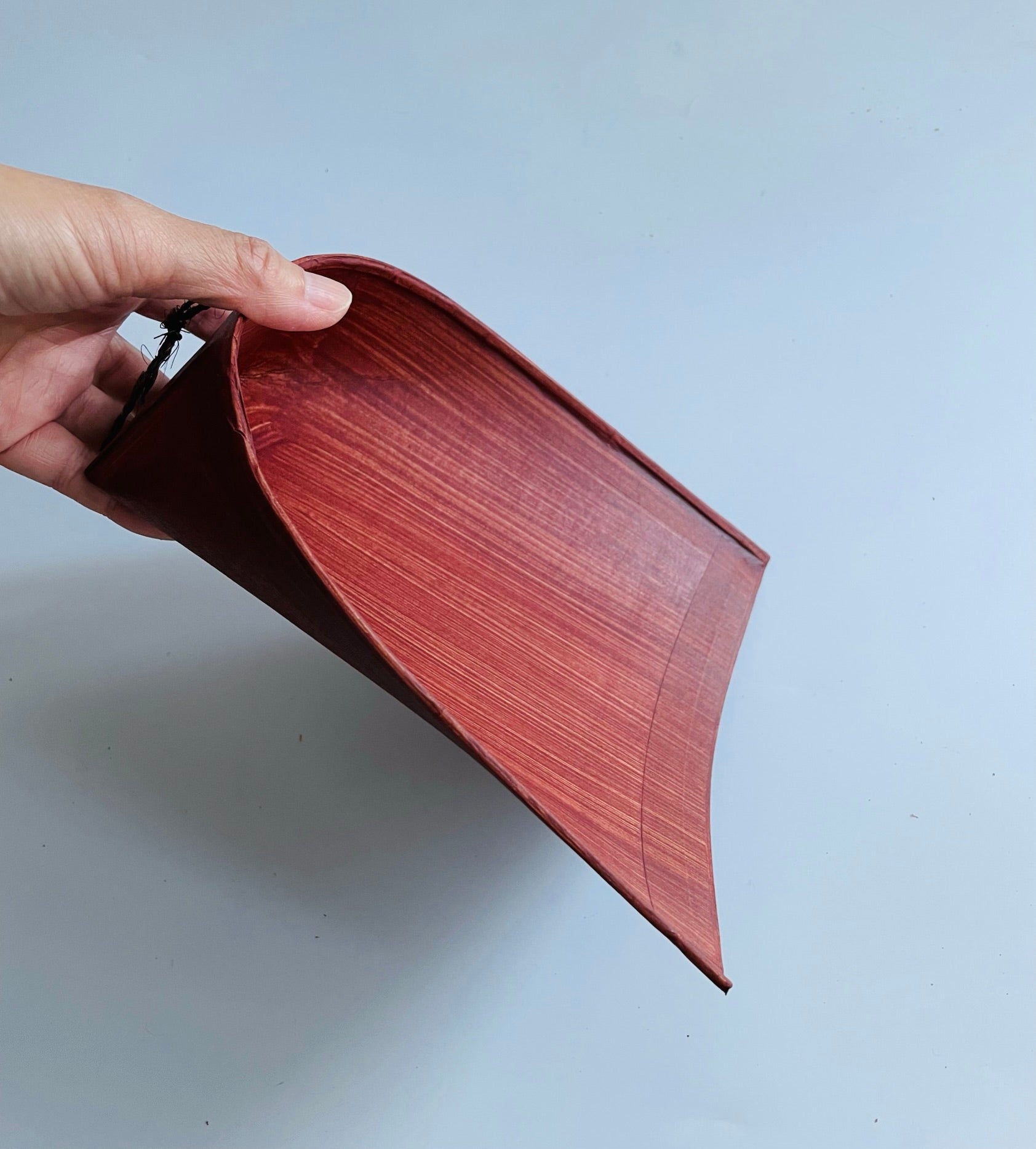 Hand holding a paper dustpan on a light gray background