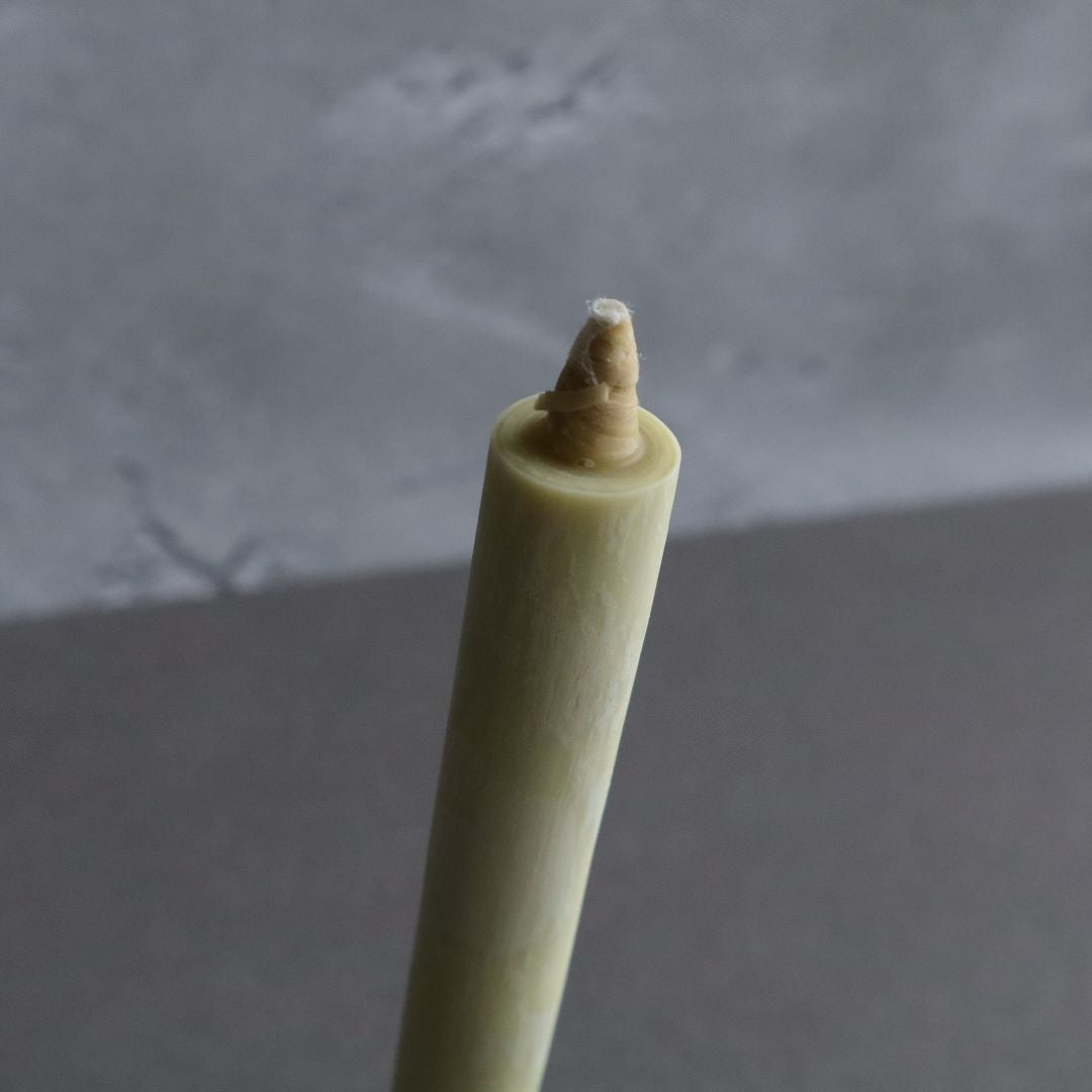 Top section of a Japanese sumac wax taper candle showing the wick, with a blurred gray and white background emphasizing the candle&