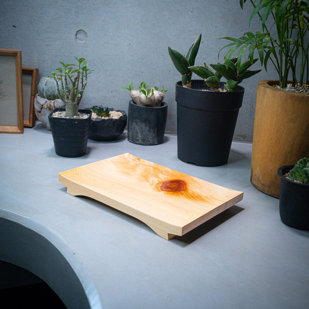 In the foreground, a wooden sushi tray is prominently displayed on a grey kitchen counter, tempting the viewer with its delicious contents. In the background, two cacti and green plants add a natural and refreshing touch to the scene, creating a pleasing contrast with the modern and minimalistic design of the counter.