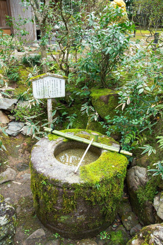 A traditional Japanese tsukubai water basin covered in moss, with a bamboo ladle resting on top, situated in a peaceful garden setting with a signpost in Japanese characters.