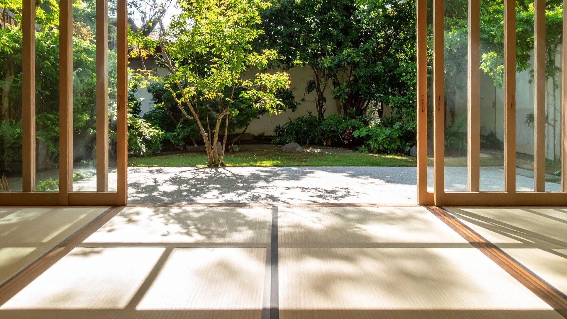 Modern interior with large glass doors opening to a garden with trees and sunlight filtering through.