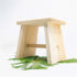 A Japanese wooden bath stool on top of green leaves