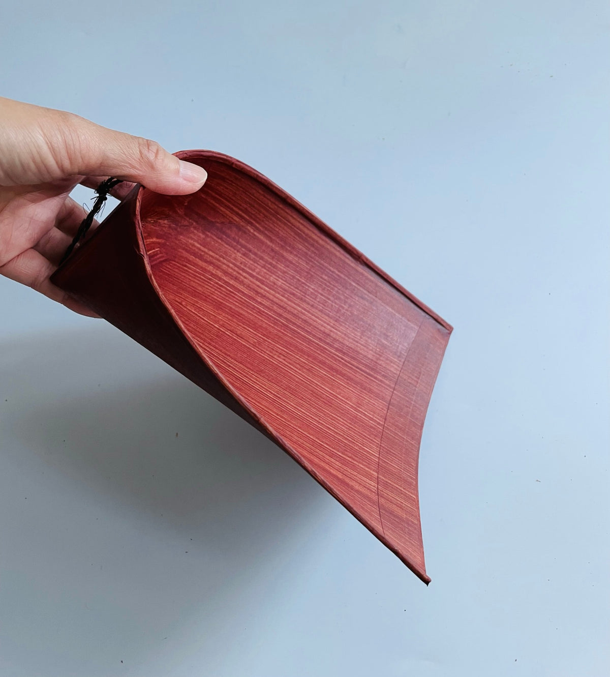 Hand holding a paper dustpan on a light gray background
