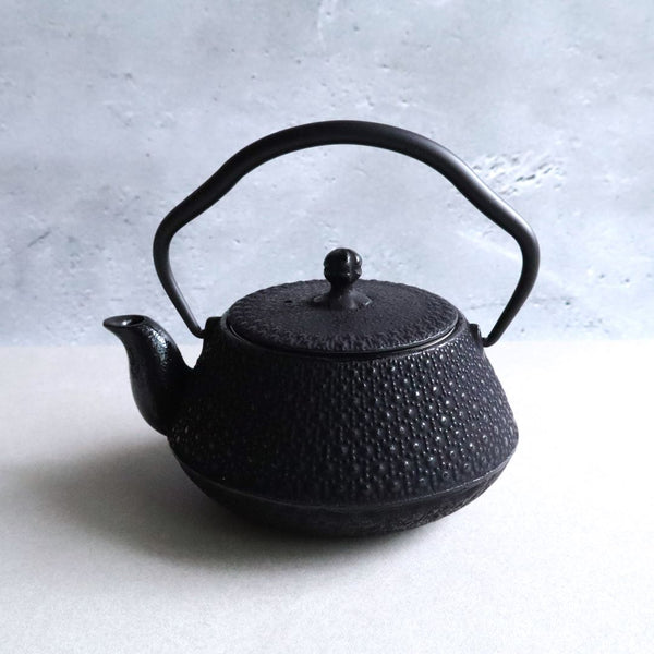 A Nambu Tekki teapot featuring a traditional hexagonal pattern, with a curved handle and a spout. The teapot is set against a light gray background.