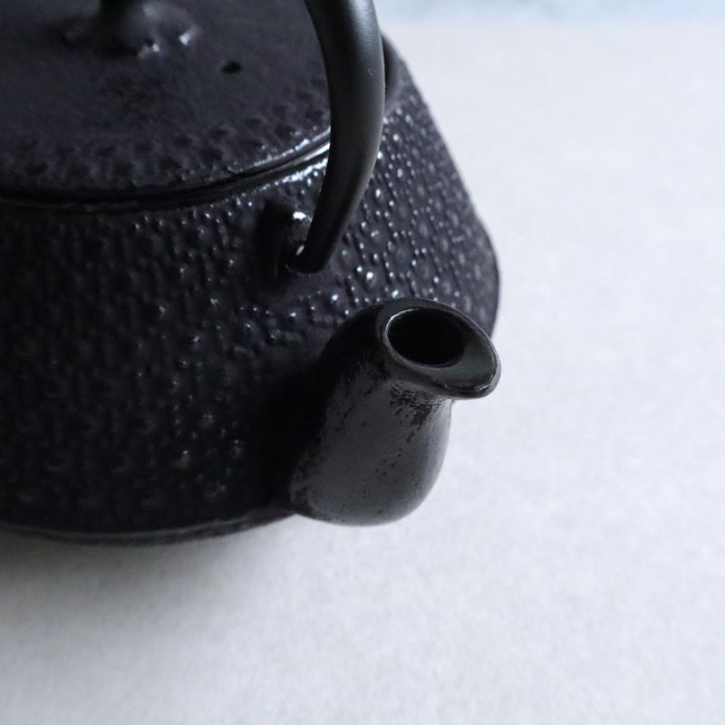 Close-up view of the spout of a Nambu Tekki teapot, showcasing the intricate hexagonal pattern and smooth finish. The teapot is set against a light gray background.