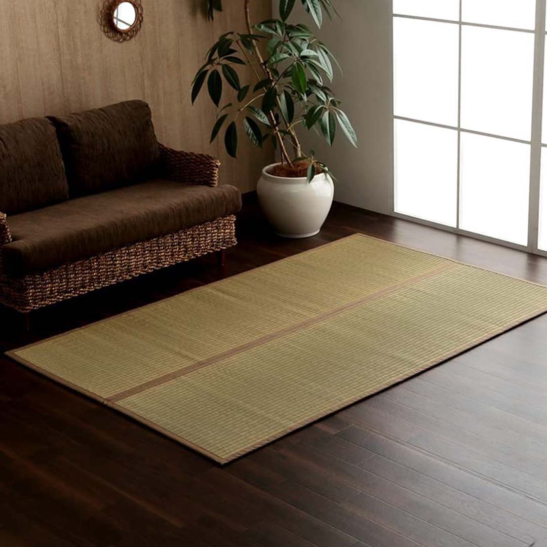 living room with a tatami mat floor, brown sofa, and potted plant.