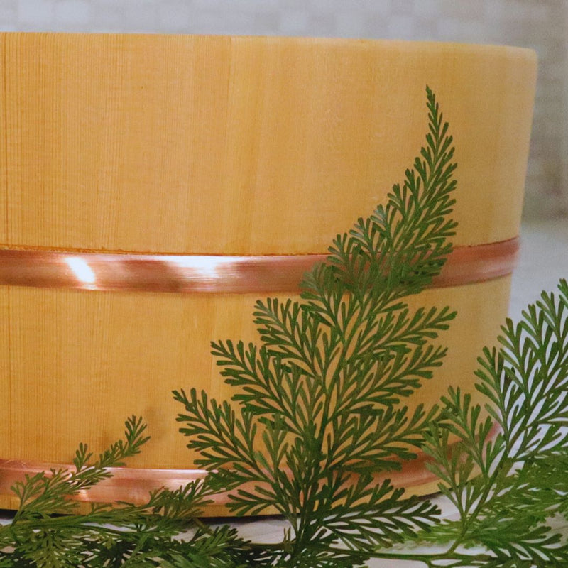 A close-up of a Sawara cypress bath bucket, φ22cm / 8.66" in size, encircled by a lustrous copper band, with vibrant green ferns framing the bottom edge.