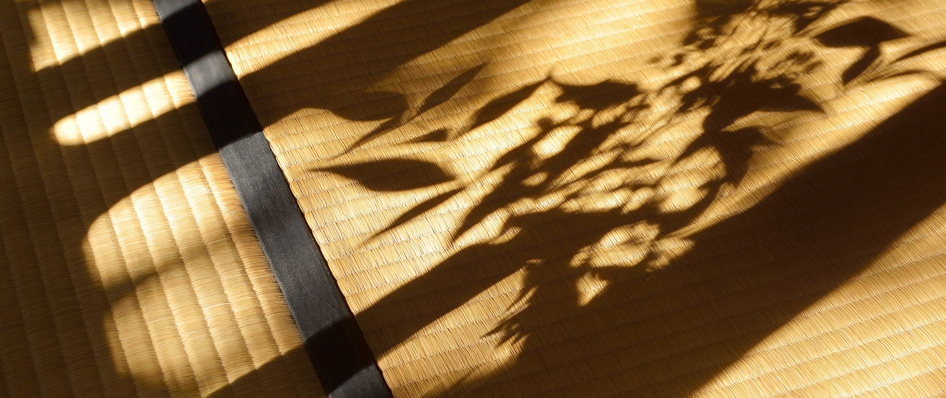 Close-up view of a Japanese tatami mat with soft leaf shadows cast by natural light.