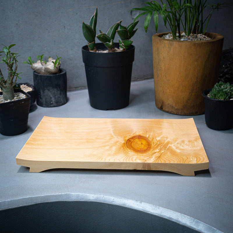 In the foreground, a wooden sushi tray is prominently displayed on a grey kitchen counter, tempting the viewer with its delicious contents. In the background, two cacti and green plants add a natural and refreshing touch to the scene, creating a pleasing contrast with the modern and minimalistic design of the counter.