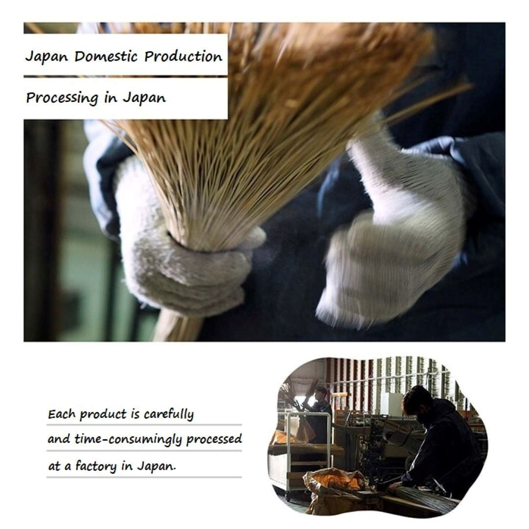 Description of a rush grass