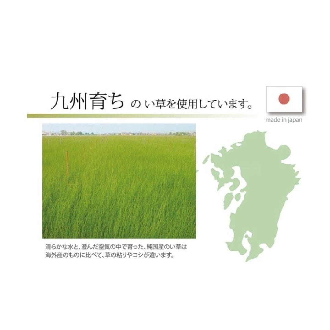 map of kyusyu island next to a field of grass
